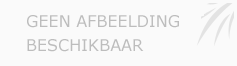 Afbeelding › Party Services