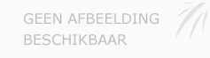 Afbeelding › Art & Food